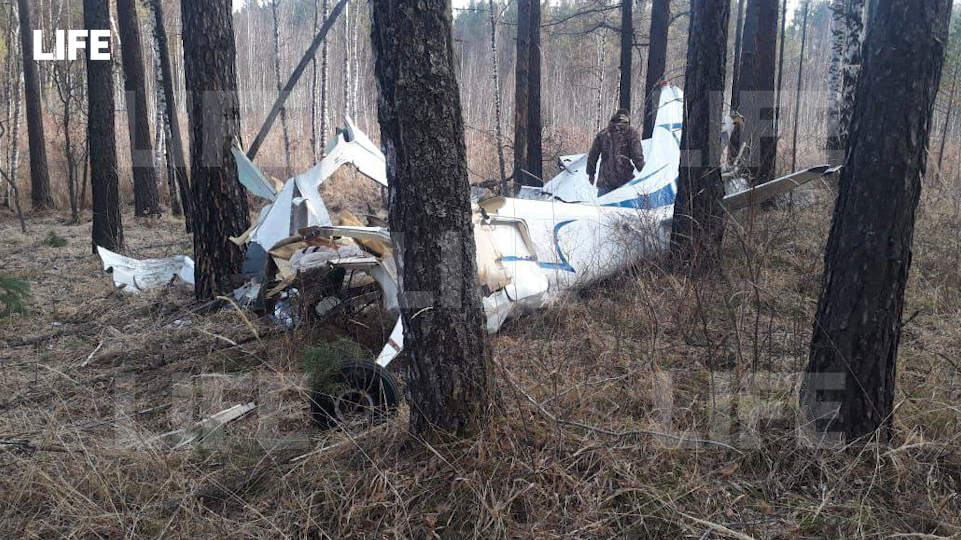 Выживший при крушении самолёта под Красноярском пилот-батюшка попал в реанимацию