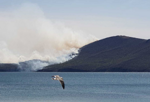 В Приморье тушат масштабный пожар на острове Путятин