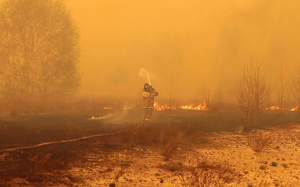 В Курганской области ввели режим ЧС из-за лесных пожаров