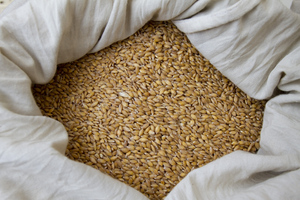 Политолог Ионов рассказал, чем обернётся для Украины продажа стратегического запаса зерна 