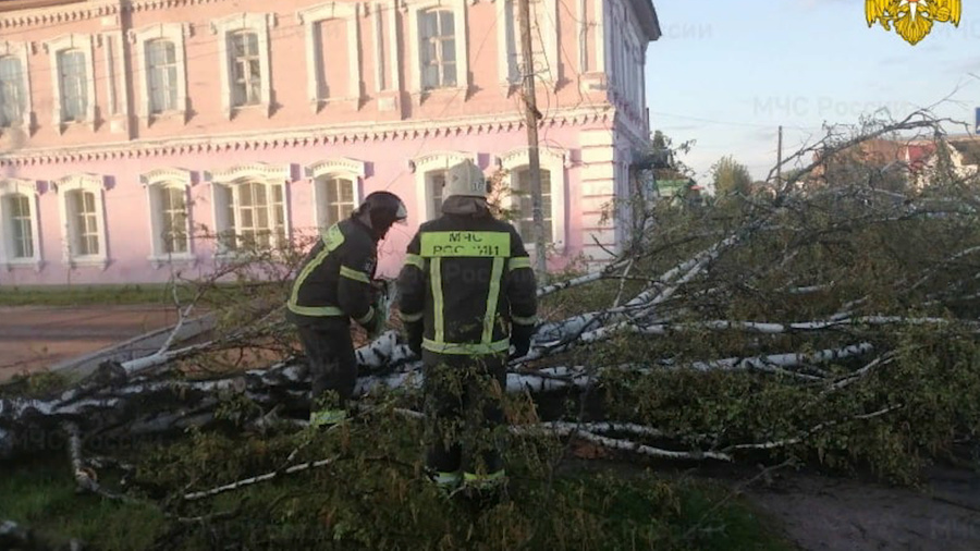 Спасатели ликвидируют последствия непогоды в Брянской области. Фото © ГУ МЧС РФ по Брянской области