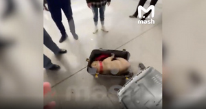 Депутат Бурматов призвал провести проверку после гибели собаки на борту рейса "Аэрофлота"