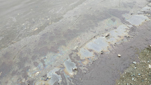 Нефтепродукты попали в прибрежную зону Авачинской бухты на Камчатке