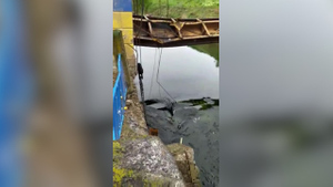 В ЛНР сообщили о подрыве ВСУ шлюза на Мироновском водохранилище