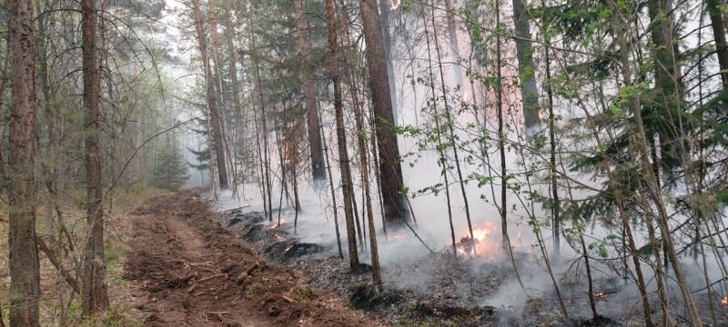 Кадры с места пожара. Фото © Пресс-служба ГУ МЧС России по Новосибирской области
