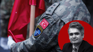 Вечерняя дойка Эрдогана: Что пишут шведские и финские СМИ о запрете Турции на вхождение в НАТО