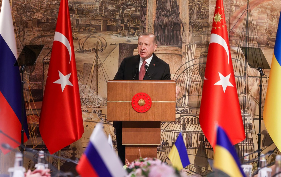 Глава Турции Реджеп Тайип Эрдоган © ТАСС / Сергей Карпухин