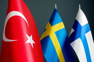 В Турции предложили отправить Финляндию и Швецию "в зал ожиданий" вместо НАТО