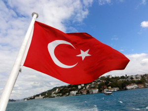 Bloomberg узнал об условиях Турции для одобрения вступления Швеции и Финляндии в НАТО
