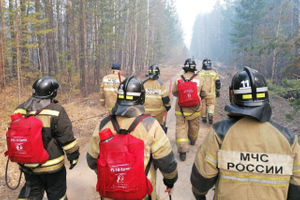 В Курганской области установили 25 виновников природных пожаров