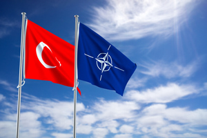 Fox News назвал Турцию "секретным оружием" РФ внутри НАТО из-за позиции по Украине