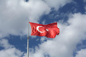Турция обозначила пять требований для пропуска Финляндии и Швеции в НАТО
