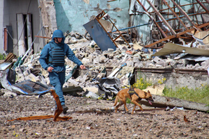 Четыре сапёра ДНР пострадали из-за взрыва боеприпаса при разминировании "Азовстали"