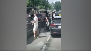 Австрийский депутат Непп потребовал выслать украинцев за избиение двух таксистов