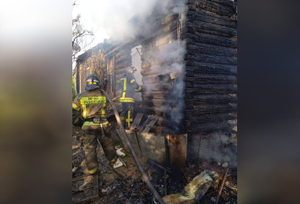 Мать и двое детей погибли при пожаре в Ростовской области