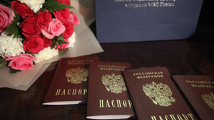 Депутат Кравченко предложил выдавать в России "золотые паспорта"