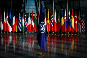 Замгенсека НАТО Джоанэ: Альянсу ничто больше не мешает укреплять позиции на восточном фланге