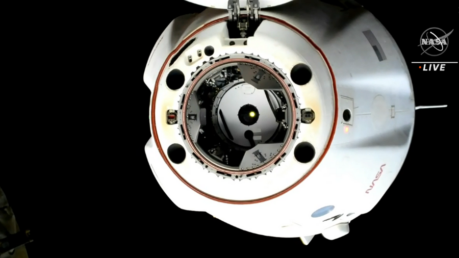 Космический корабль SpaceX Dragon Endurance после отстыковки от переднего порта модуля Harmony МКС. Фото © NASA TV