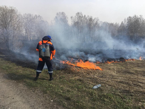 Большинство пожаров в Красноярском крае вызвано замыканиями и падениями ЛЭП
