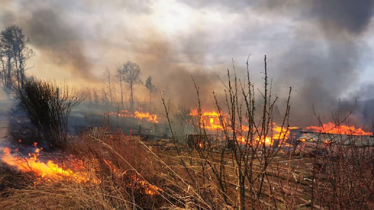 Пожар в посёлке Моргудон Братского района. Фото © Пресс-служба Прокуратуры Иркутской области