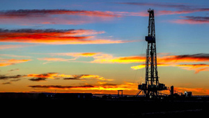 Daily Telegraph: ОПЕК отказалась "помогать Западу" наращиванием добычи нефти