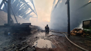 Общая площадь пожаров в населённых пунктах Сибири превысила 65 тысяч квадратных метров