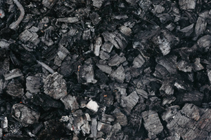 Польшу раскритиковали за поспешное эмбарго на российский уголь