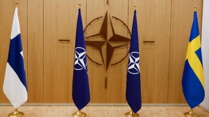 Финляндию и Швецию пригласили на саммит НАТО