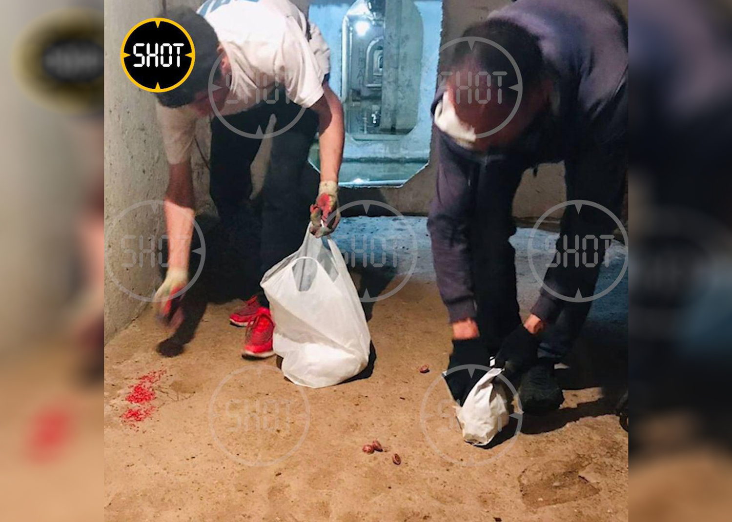 Сотрудники УК рассыпают отраву для крыс в подвале дома в Балашихе. Фото © Telegram/SHOT