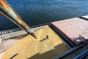 TRT: Москва, Киев, Анкара создали канал экстренной связи по вывозу зерна с Украины