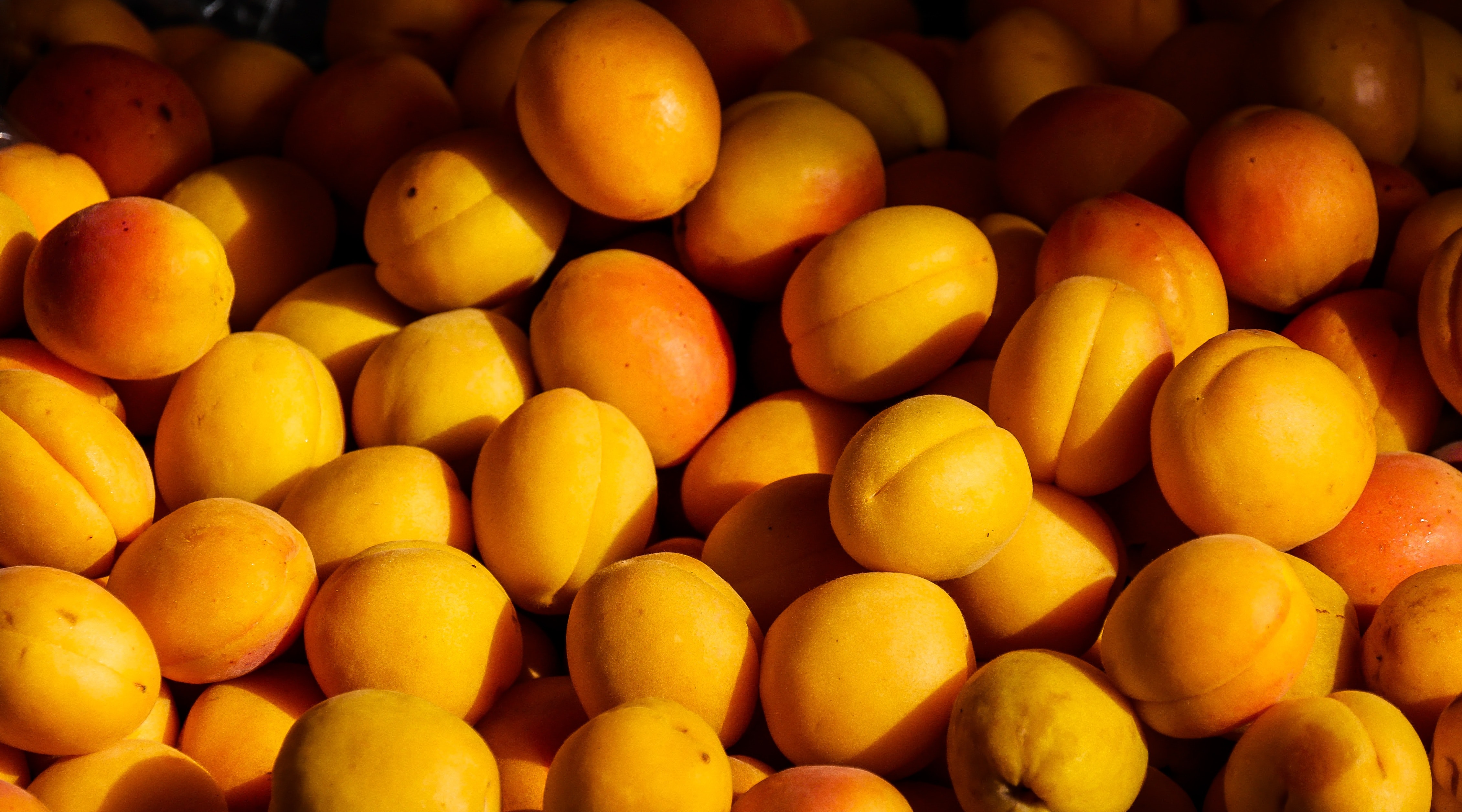 Диетолог объяснила, кому нельзя есть абрикосы