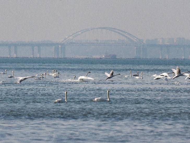 В Крыму заявили, что Киев напрасно тешит себя мыслью о возвращении полуострова