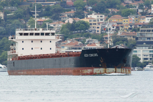 Выход первого иностранного судна из порта Мариуполя перенесли