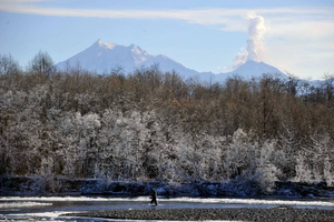 На Камчатке вулкан Шивелуч выбросил семикилометровый столб пепла