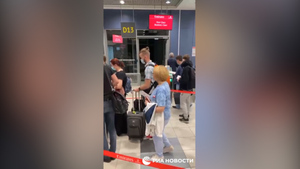 Явлинского узнали среди пассажиров рейса Москва – Лондон