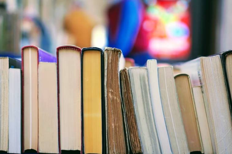 В Киеве сочли русскую литературу тяжёлой для украинцев и призвали исключить её из школ