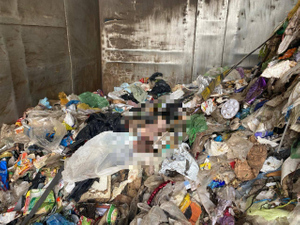 Тело младенца обнаружили в мусорном баке в Новой Москве