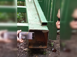 Сбежал, не отблагодарив: В Москве спасатели освободили кота, который оказался замурован в стальном мосту