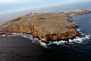Американские спутники снимали Змеиный перед провальной попыткой ВСУ захватить остров