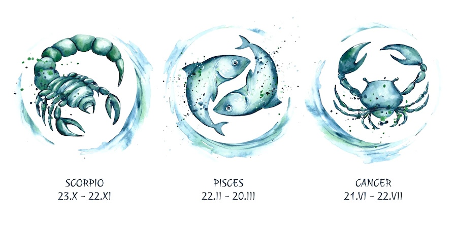 Представители стихии Воды — знаки зодиака Скорпион, Рыбы и Рак. Фото © Freepik