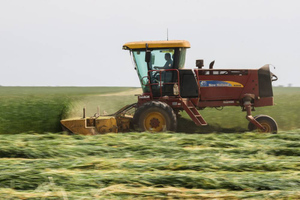 Генсек ООН призвал к одновременному экспорту зерна из России и Украины