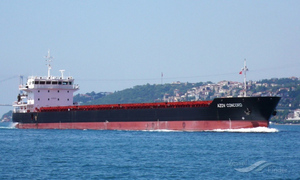 Первым вышедшее из порта Мариуполя турецкое судно Azov Concord прибыло в Новороссийск
