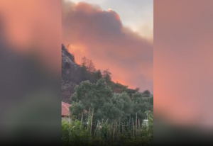 Власти Турции полностью взяли под контроль мощные лесные пожары в Мармарисе