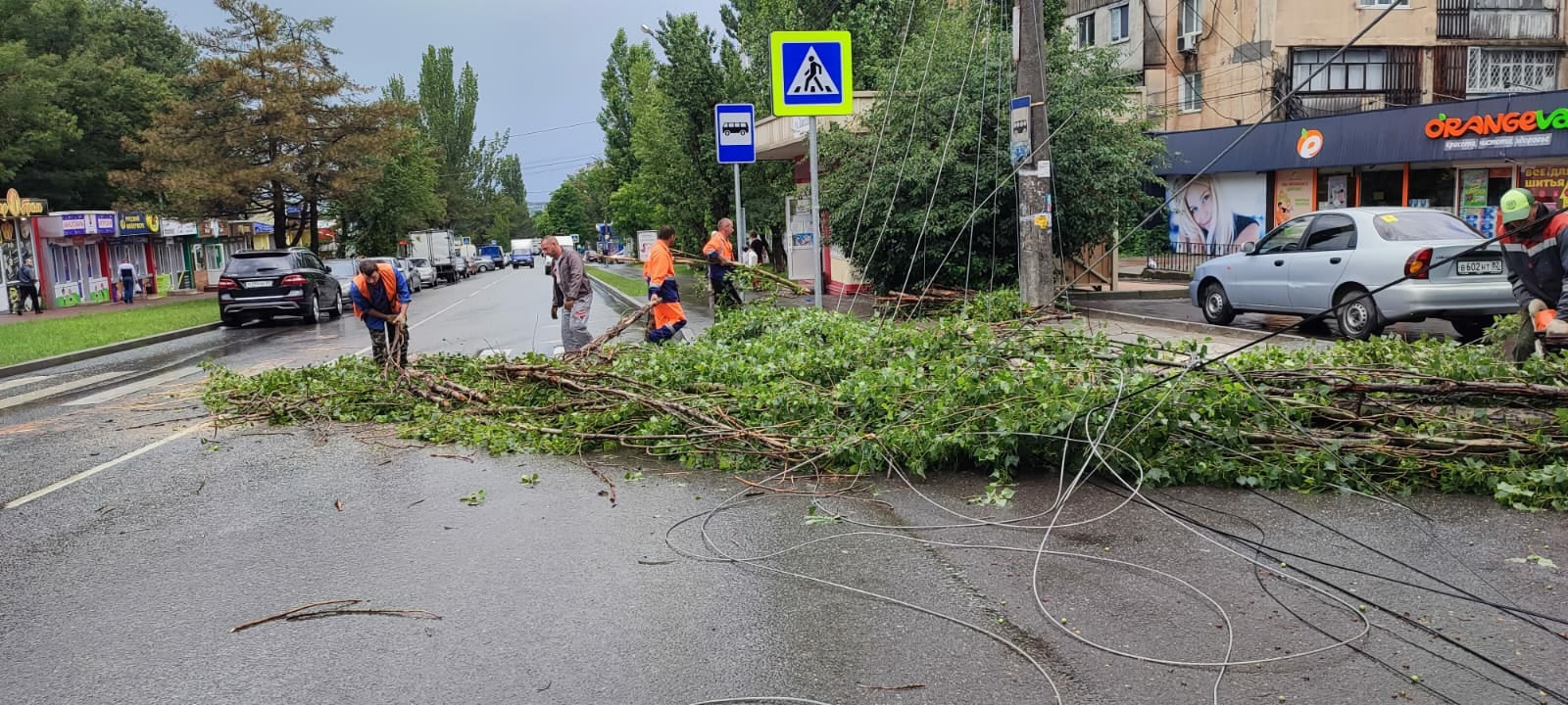 В Симферополе осадки и шквалистый ветер повалили деревья. Фото © VK / Администрация города Симферополя