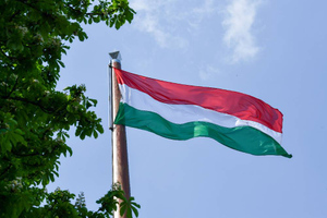 Посол Венгрии потребовал не вмешиваться в отношения его страны с Россией