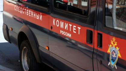 Полицейский на севере Сахалина насмерть сбил женщину