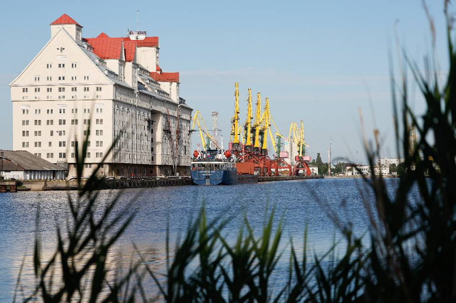 Портовые краны в Калининградском морском торговом порту. Фото © ТАСС / Виталий Невар