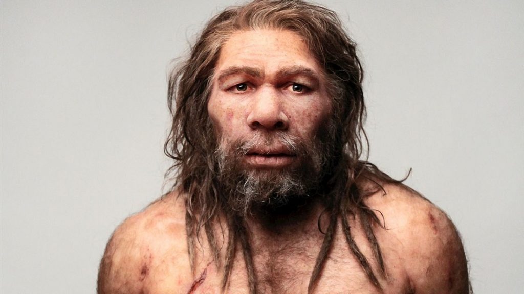 Homo neanderthalensis Фото © Meteorologiaenred