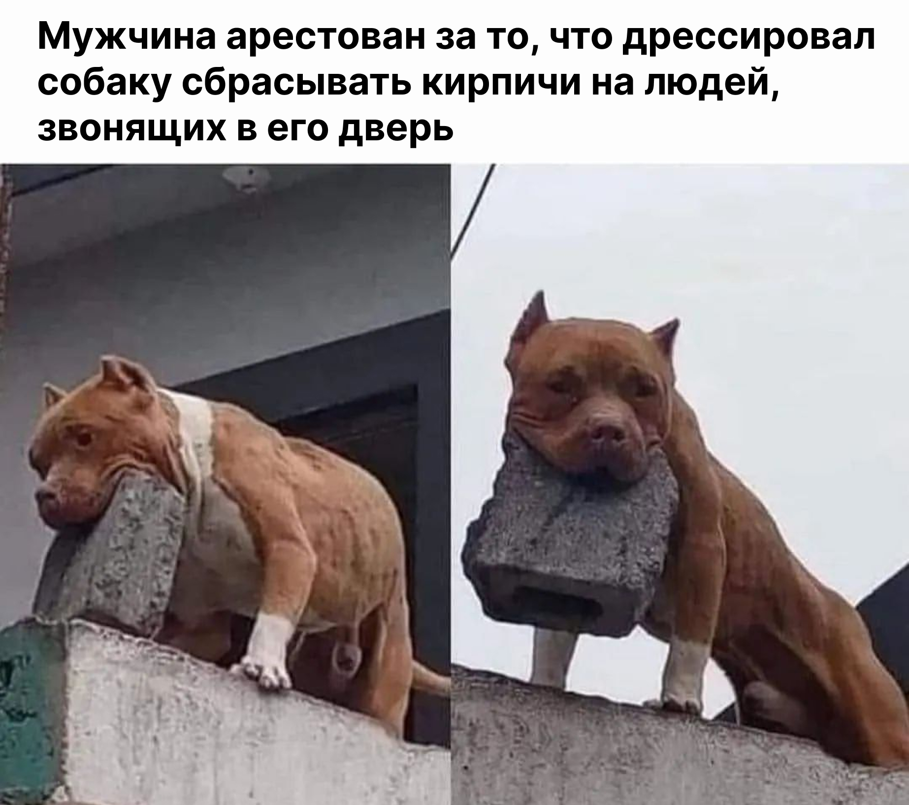 Фото © Facebook (запрещён на территории Российской Федерации) / Introvert Memes