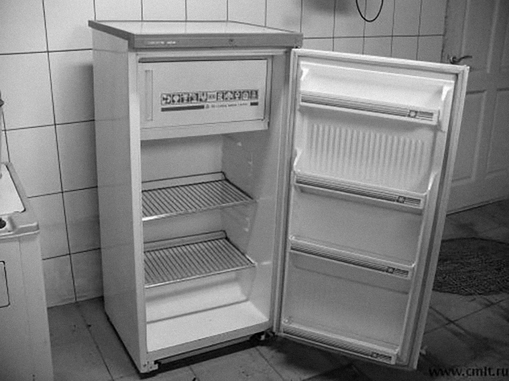 Холодильник "Свияга". Фото © cmlt.ru